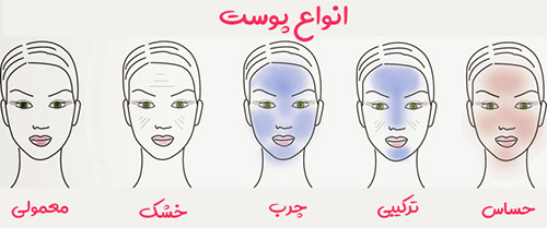 انواع پوست 2